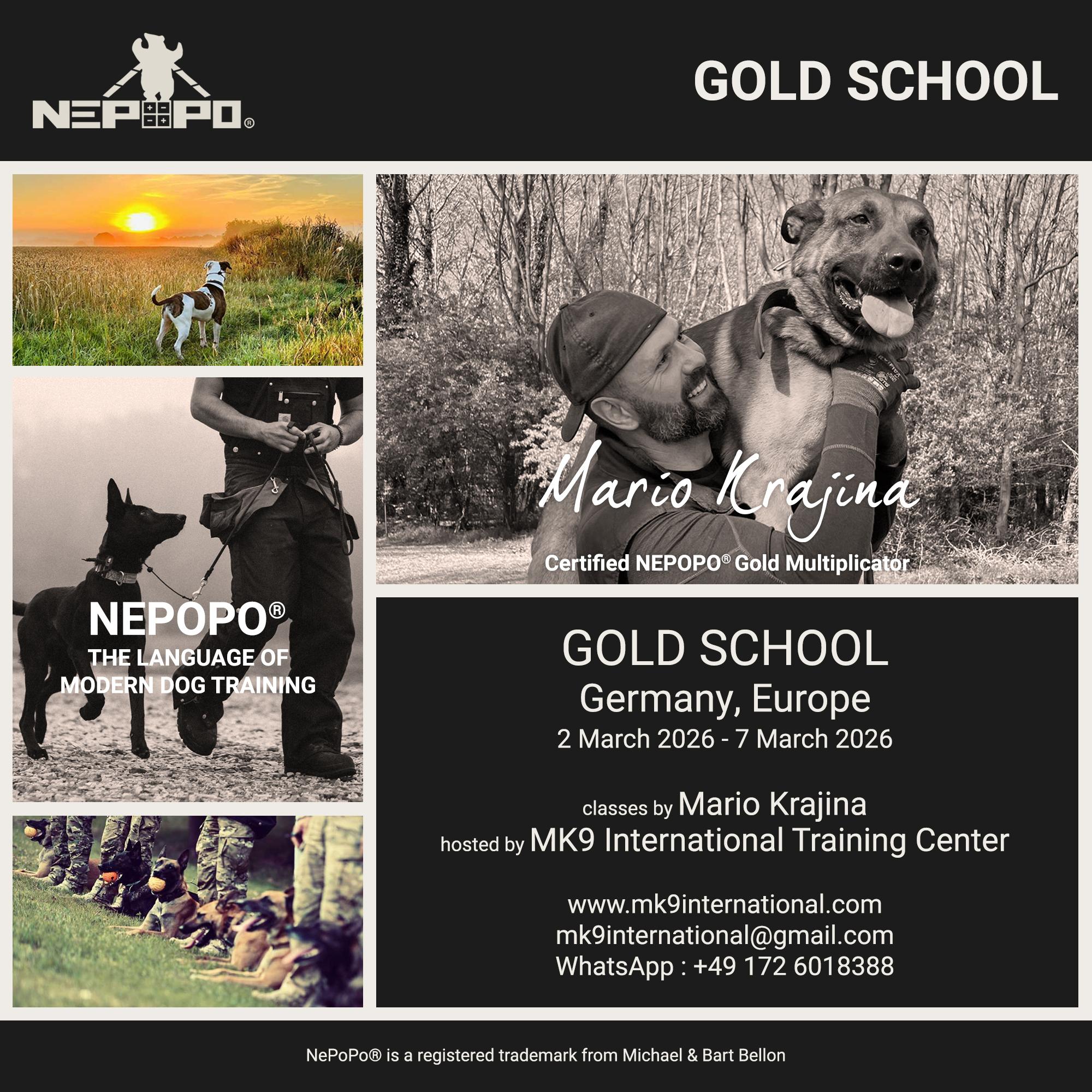 Mario_Krajina_2026_03_02