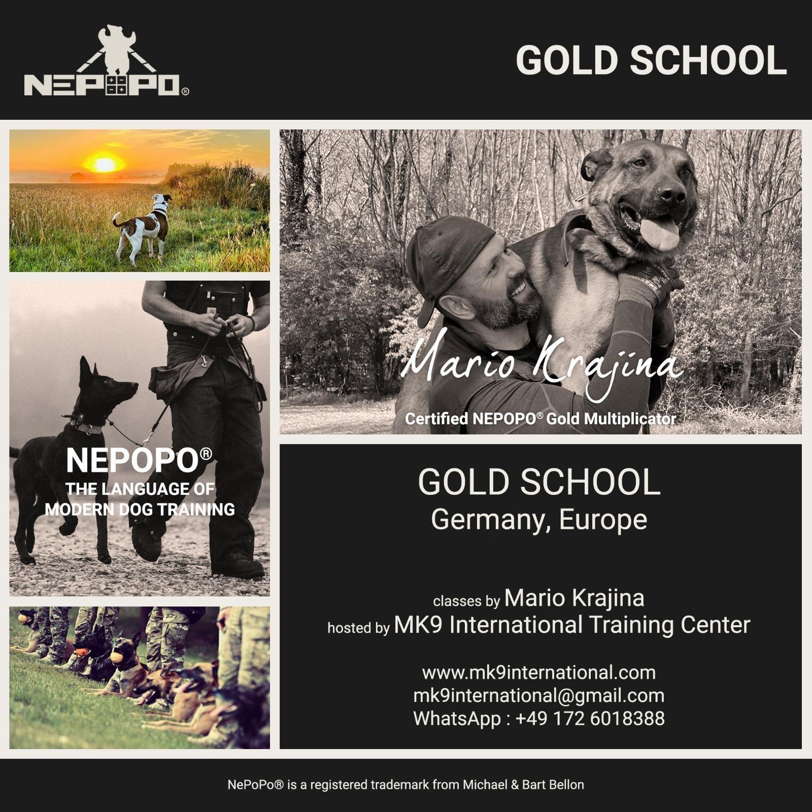 NePoPo Gold School bei MK9 International